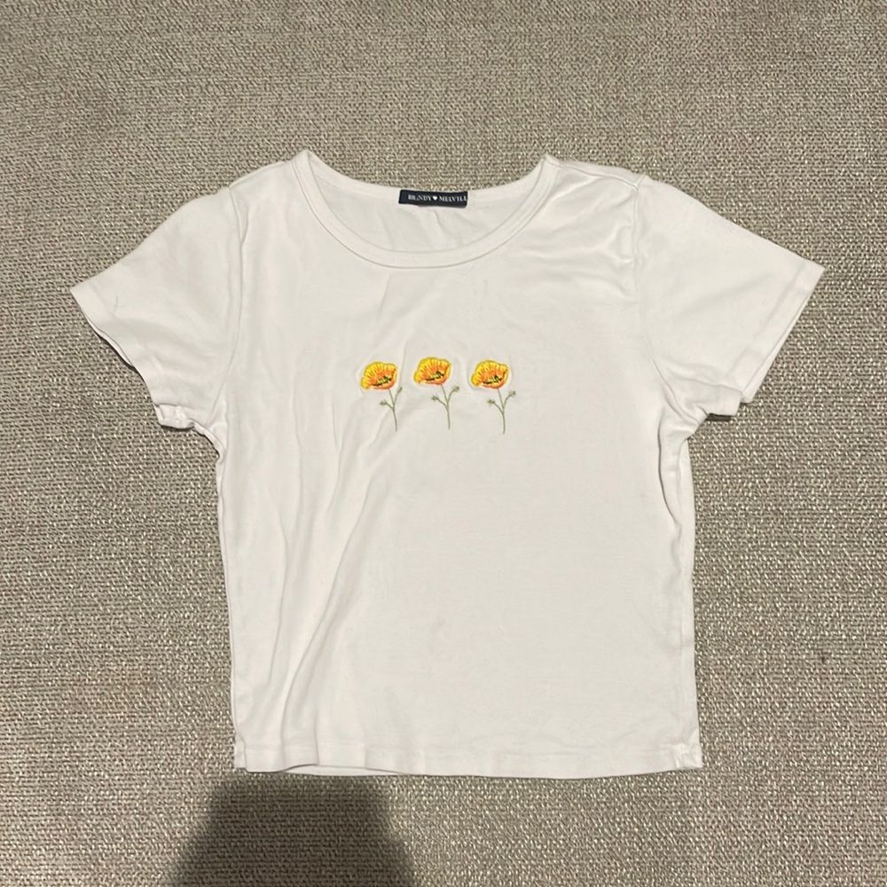 Brandy melville poppy crop top